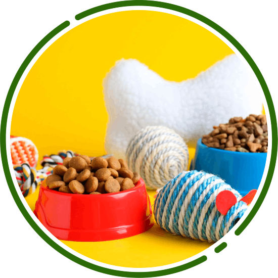 jouets pour chien