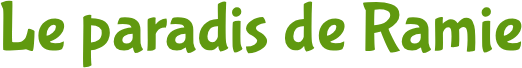 icône